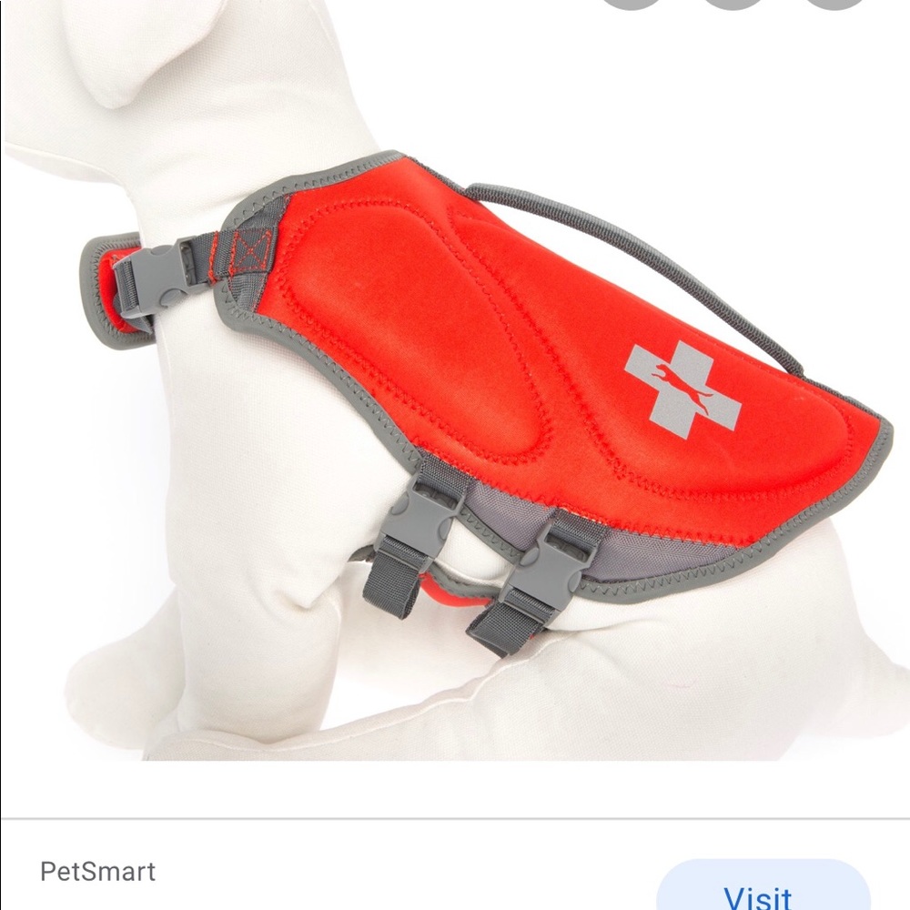 Puppy Life Jacket